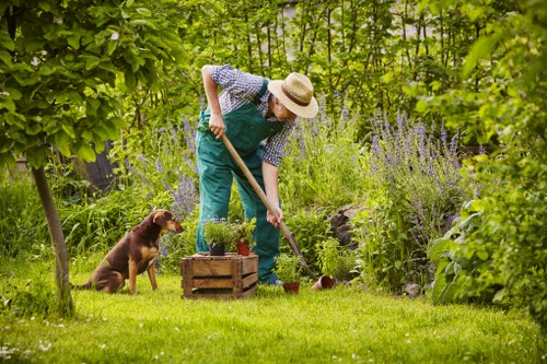 Lewisham gardener assessing a front garden with tools