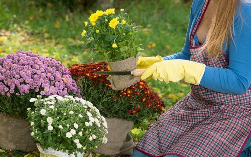 Community gardeners working together in a Lewisham green space with accessible beds
