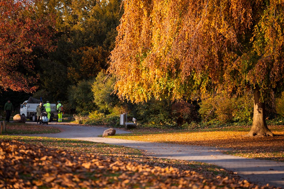 A tranquil park scene during autumn with a large tree displaying vibrant orange and yellow leaves, some fallen and scattered on the ground. A paved pathway curves through the park, with a few individu
