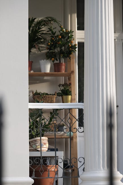 Interior view of a small garden area adjacent to a terraced home, featuring a decorative black wrought iron fence in the foreground. Behind the fence, there are several potted plants placed on wooden 