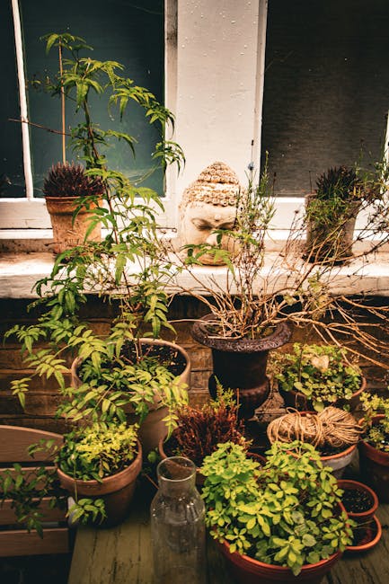 Interior view of a small garden area adjacent to a terraced home, featuring a decorative black wrought iron fence in the foreground. Behind the fence, there are several potted plants placed on wooden 