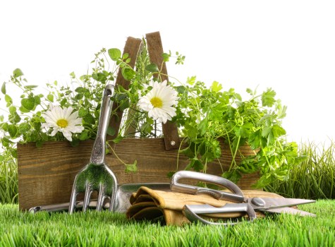 Seasonal garden maintenance by Lewisham gardeners